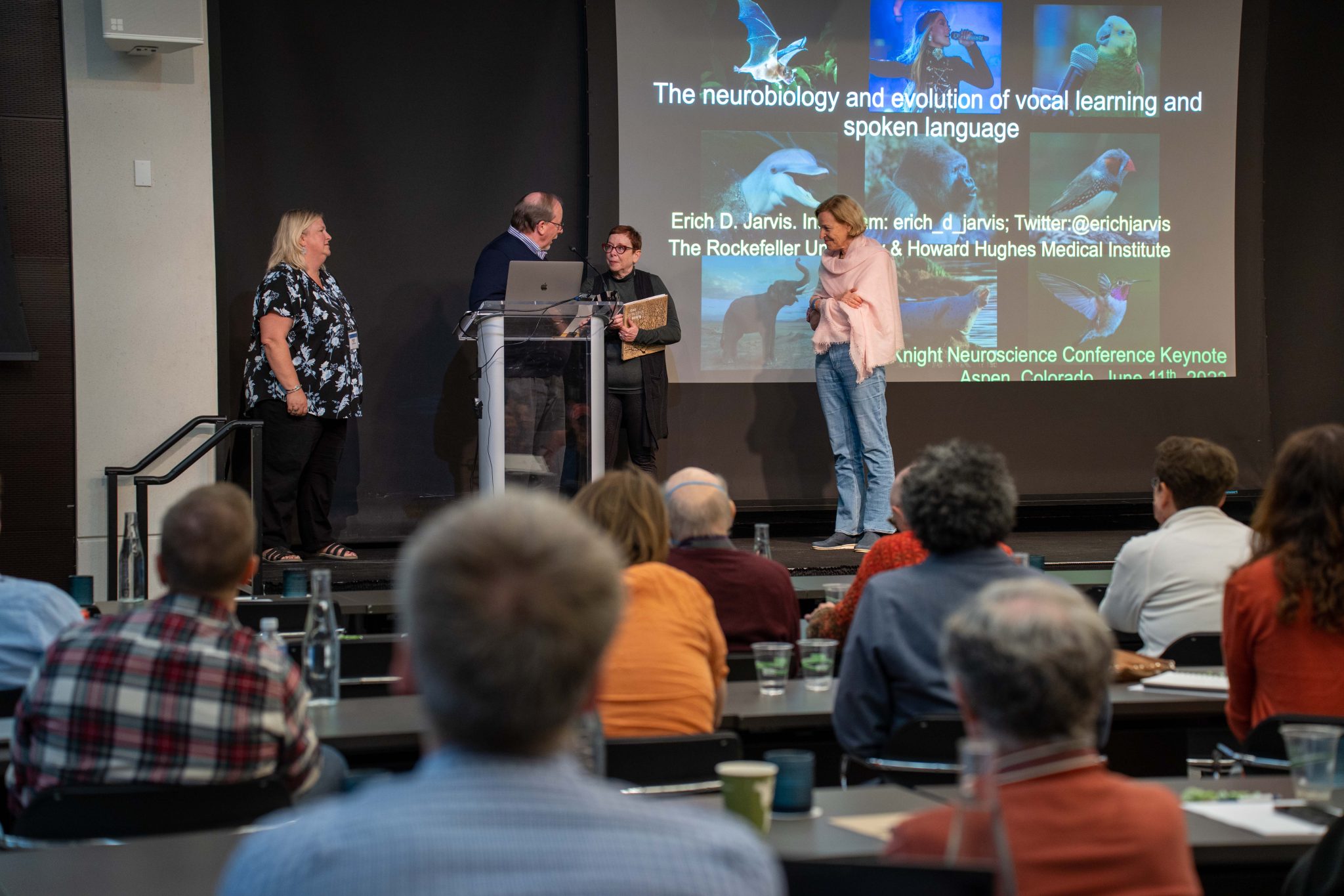 Eileen Maler is honored at the 2023 MEFN Annual Conference. Photo credit: Molly Miles.