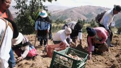 McKnight staff and board visit partners in Peru