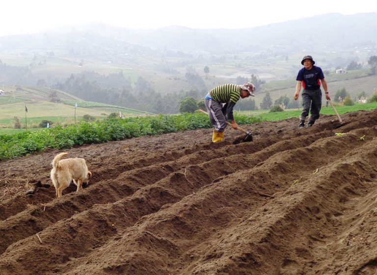 Preparing The Soil