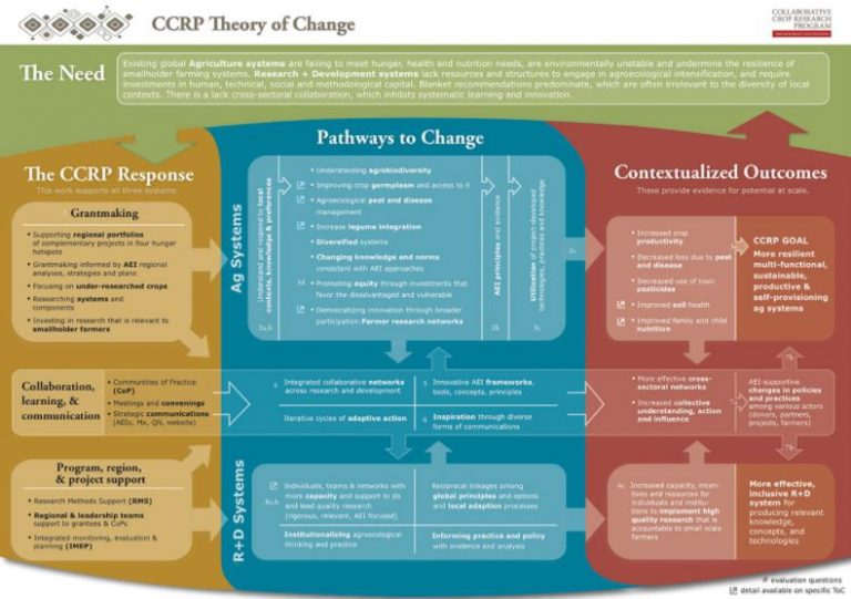 CCRP Theory Of Change