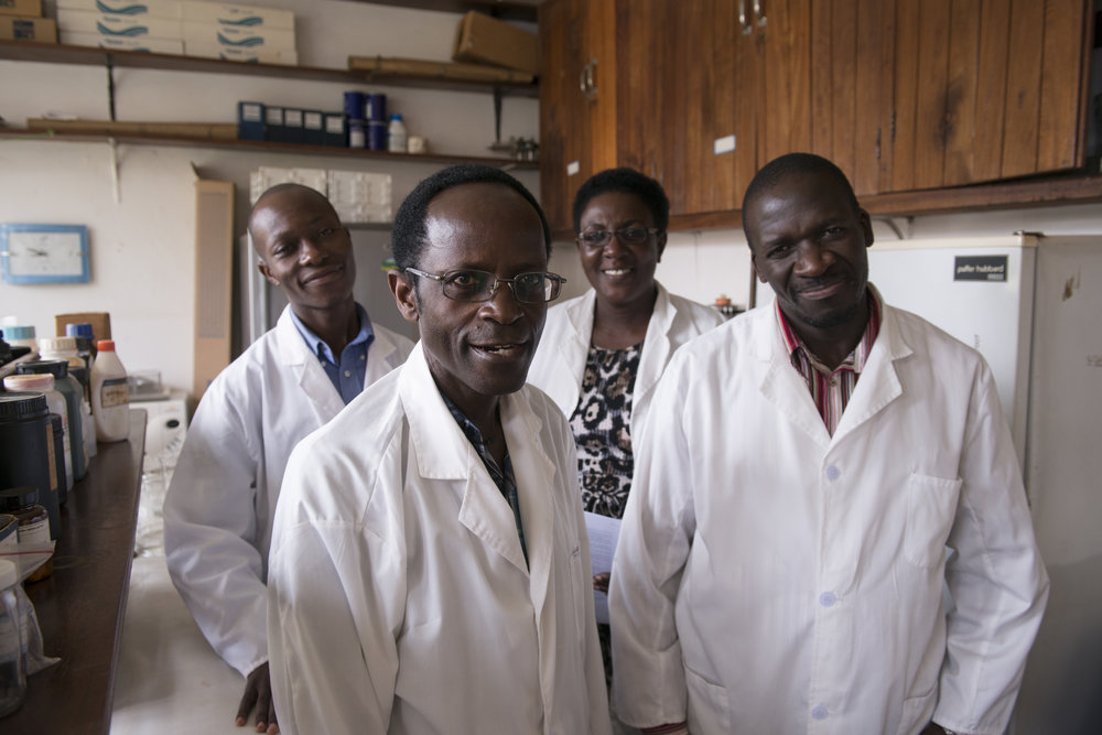 three men and a woman in a lab