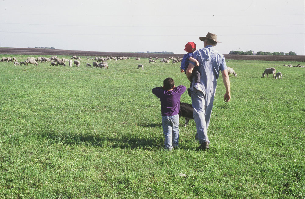 Jim VanDerPol with grandkids in the family pastures.