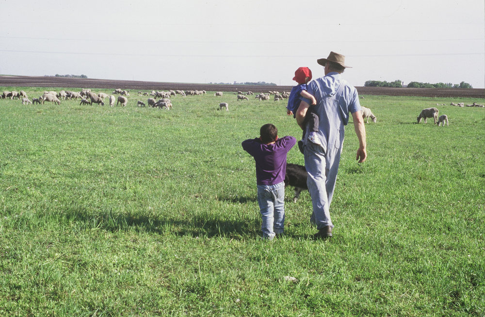 Autosave File Vom D Lab2/3 Der AgfaPhoto GmbH Jim VanDerPol with grandkids in the family pastures.