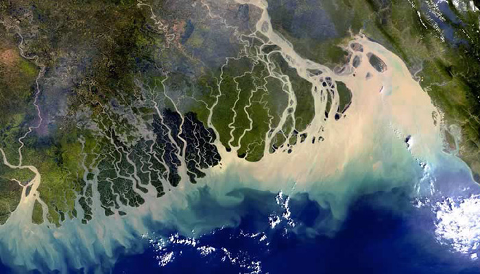 River Delta