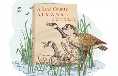 Sand County Almanac