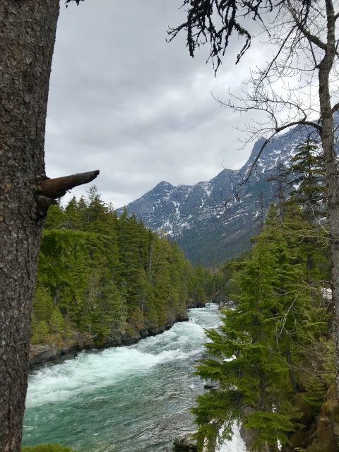 The view from the bench in Glacier National Park.