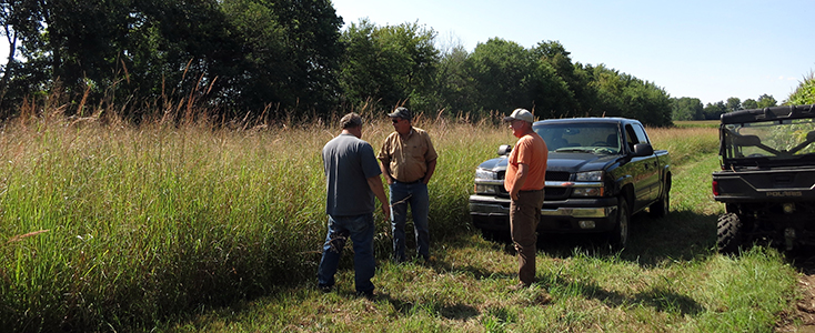 Wetlands Initiative