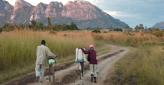 two men walking next to bicycles with their crops