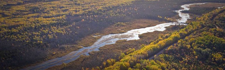 Conservation Fund Masthead