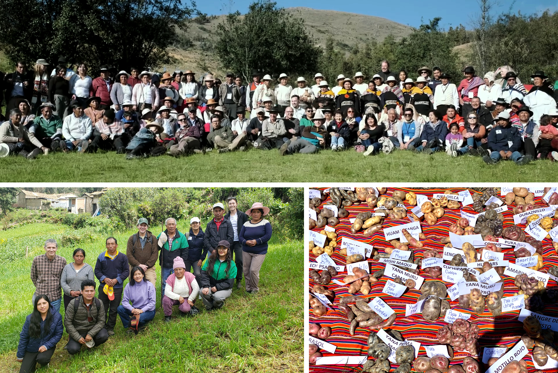 Katherin Meza with researchers and farmers from Grupo Yanapai, AGUAPAN, and International Potato Center in Peru's Mantaro Valley in the Peruvian highlands. Credits: Gonzalo Vera Tudela, Katherin Meza