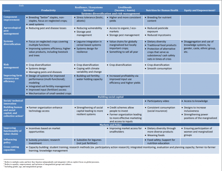 Levers Outcomes