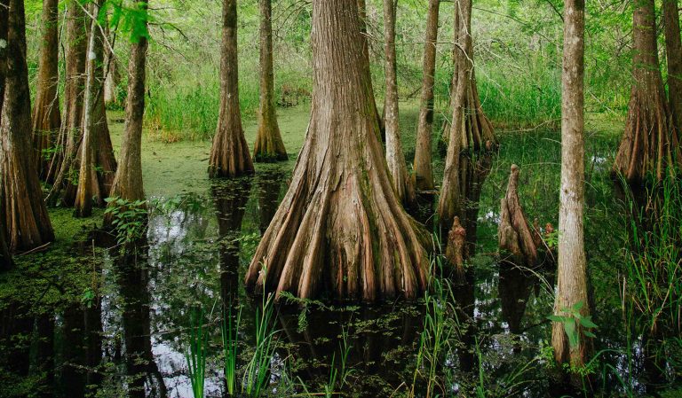 Louisiana