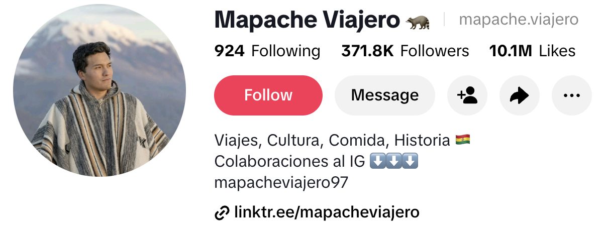 Mapache Viajero