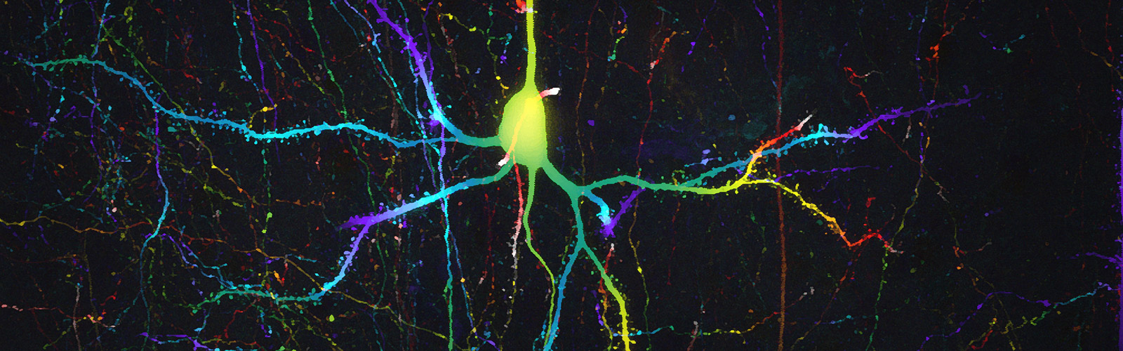 Neuroscience Technology Awards Masthead