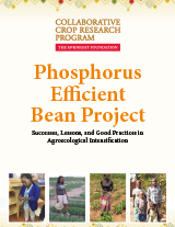 p-efficient-bean-project.jpg