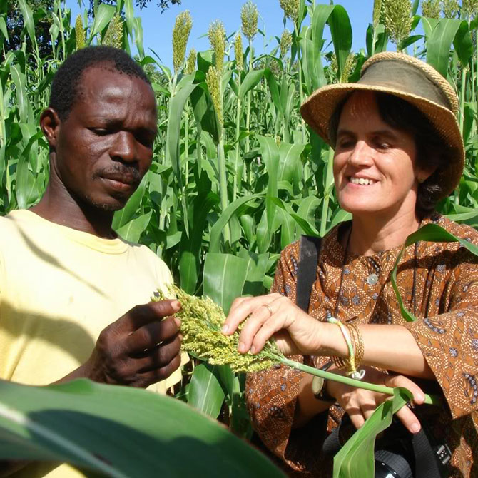 two people who are analyzing plantation in a farm