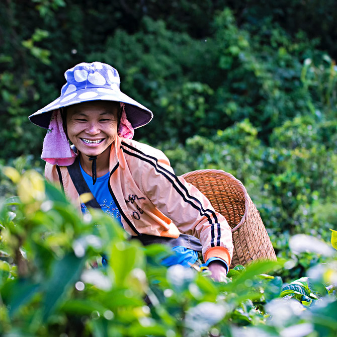 man smiling and looking through his crops