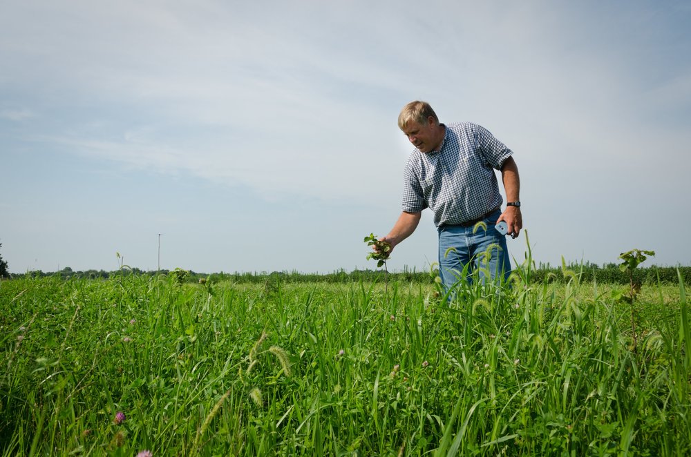 a man looking through a farm field