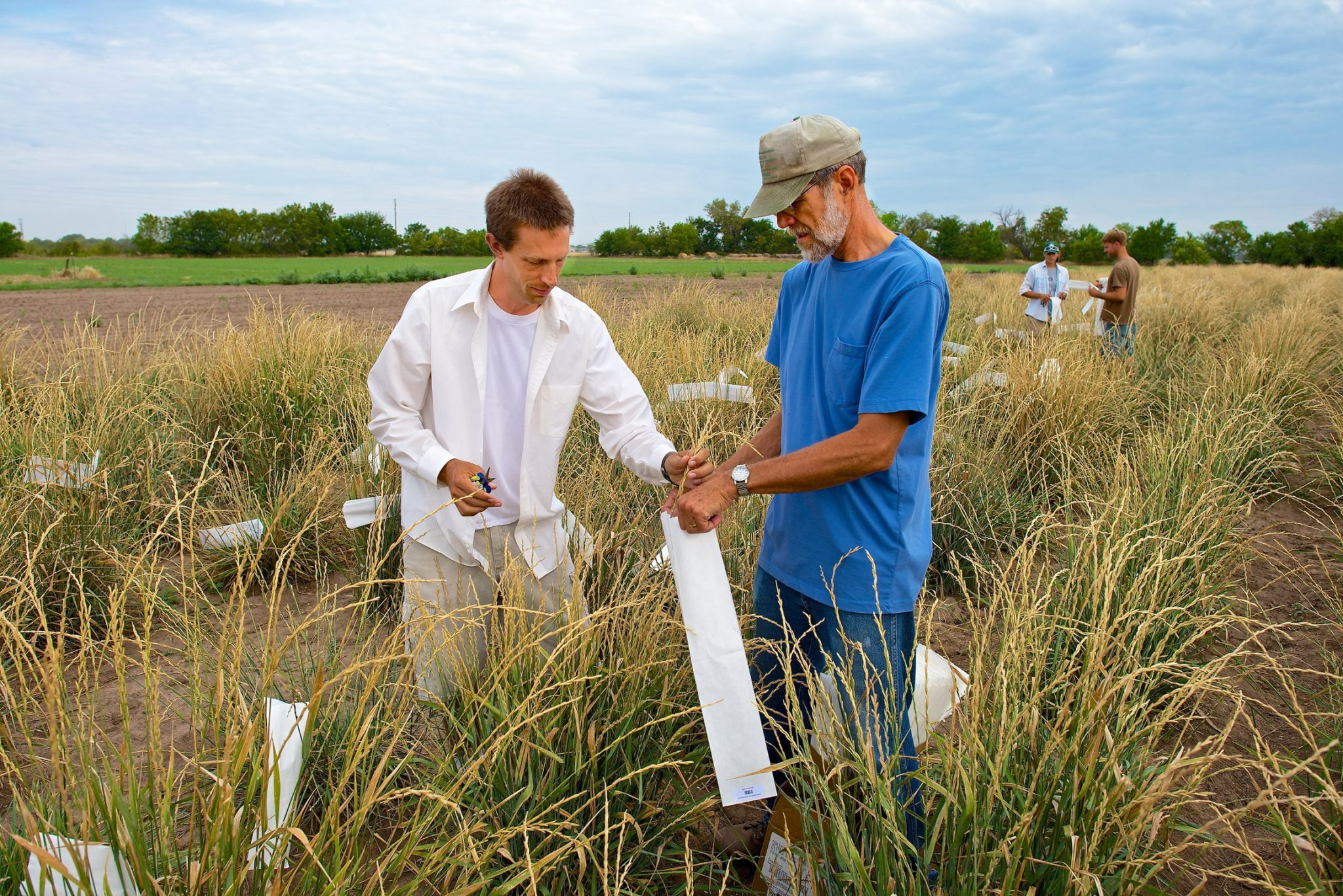 man harvesting in a seeding landscape