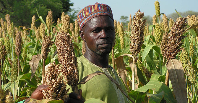 an African man looking through standing between his plants